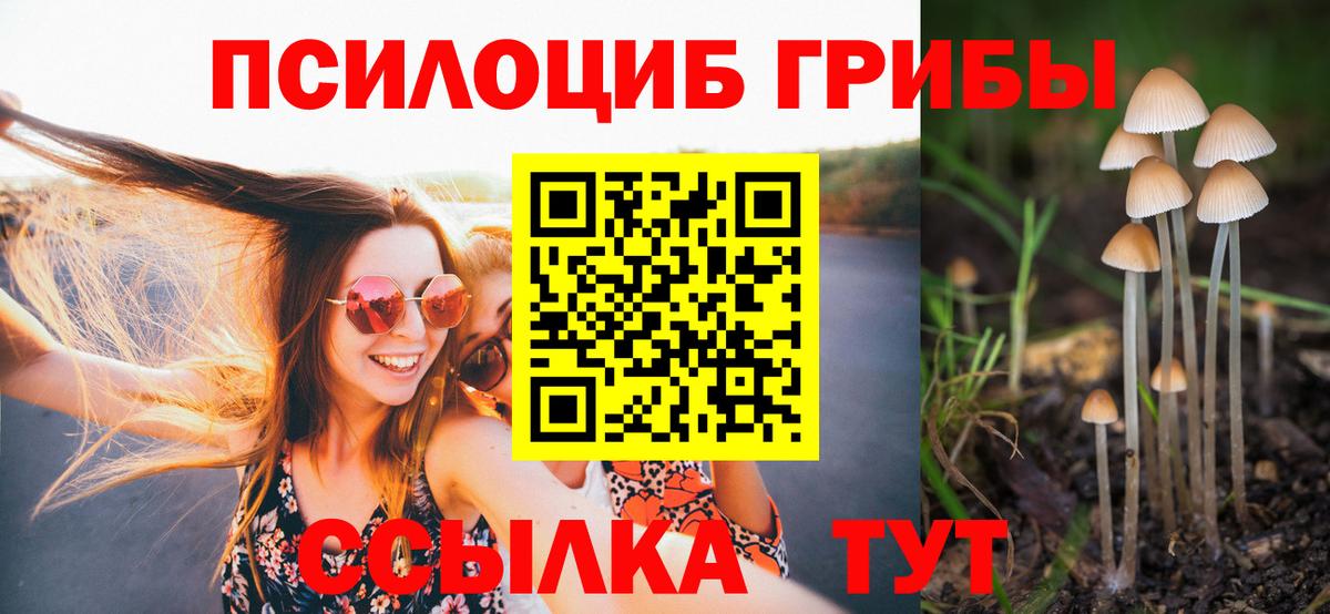 Будённовск  Галлюциногенные грибы мухоморы  Вход с VPN 