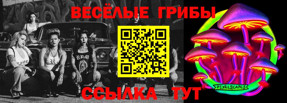 Галлюциногенные грибы Cubensis Будённовск