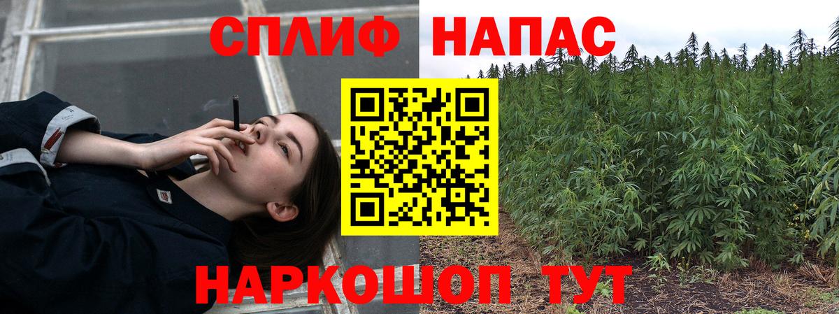 Будённовск  MDMA  Меф МЯУ МЯУ   Вход с VPN  КОКАИН  ГАШИШ  Лсд 25  ГАШИШ  Канабис  Alpha-PVP СОЛЬ  